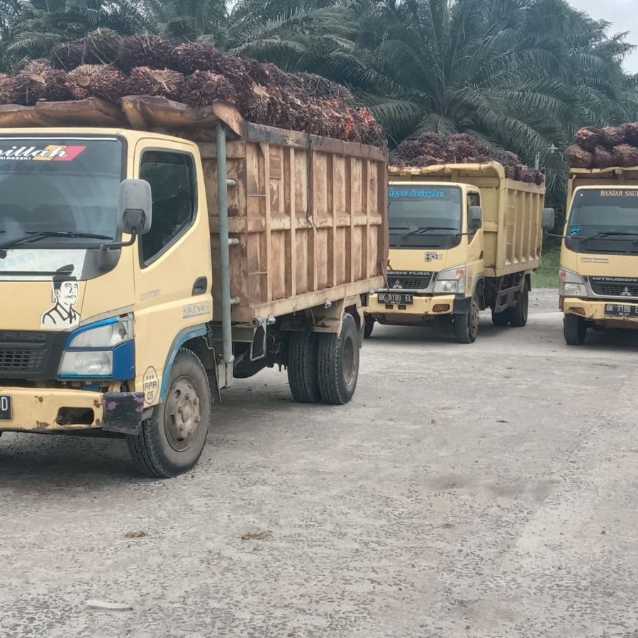 Geger! Tiga Truk Angkut TBS dari PT. RPR Menuju PMKS PT. MAL Diputar Balik Puluhan Petani Singkuang